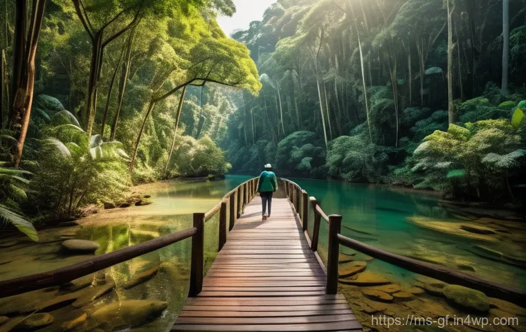 아웃도어 테라피의 지속 가능한 실천 - A serene and breathtaking view of a well-preserved Malaysian rainforest, with lush, vibrant green fo...