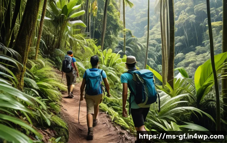아웃도어 테라피와 새로운 인간관계 - A diverse group of Malaysian friends hiking together through a lush tropical rainforest, wearing cas...